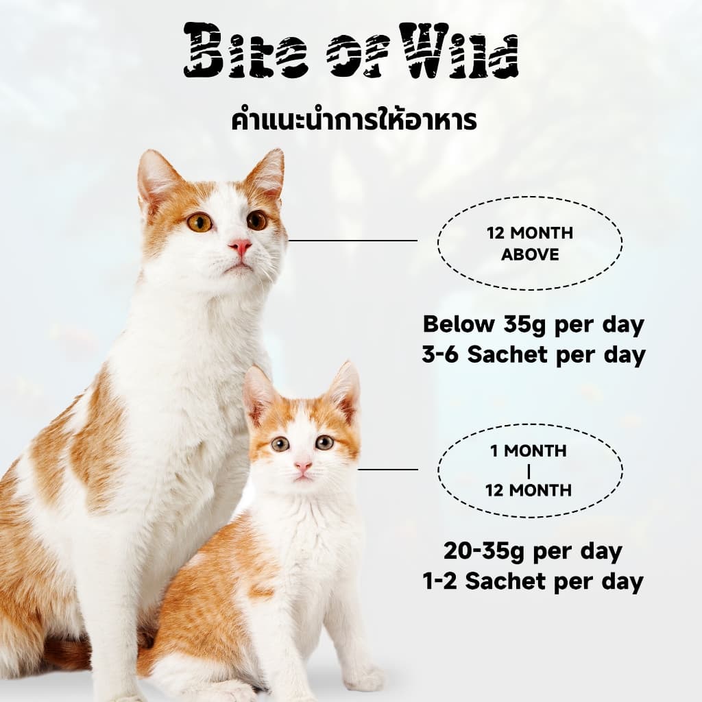 Bite Of Wild รสไก่และปลาแซลมอน คอมโบ ขนมแมวเลีย 60 กรัม โปรตีนสูงและโภชนาการสูง - 3
