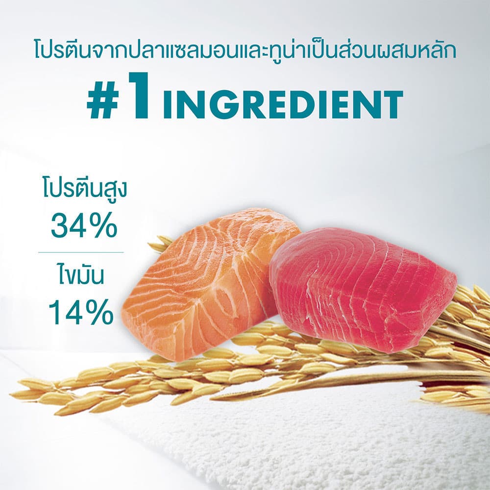 [เลือกรสชาติได้] Purina One อาหารแมว 6.6กก - 2