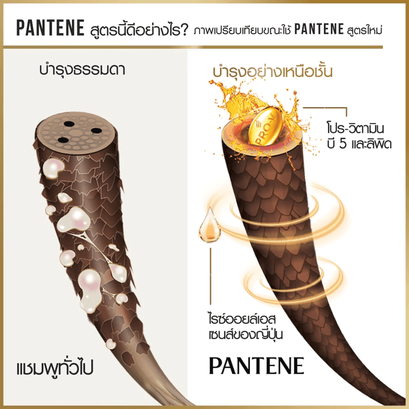 [1 แถม 1] Pantene แพนทีน โปร-วี แชมพู 380 มล. + 380 มล. - 5