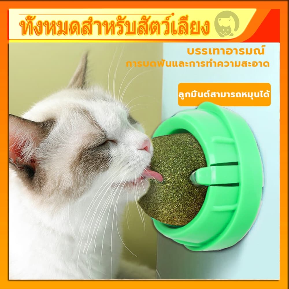 กัญชาแมว😸หญ้าแมว กันชาแมว กัญชาเเมว แคทนิปแมว catnip ball กันชาแมวส่งฟรี กัชชาแมว กันชาแมวเลีย แคทนิปบอล ติดกำแพง