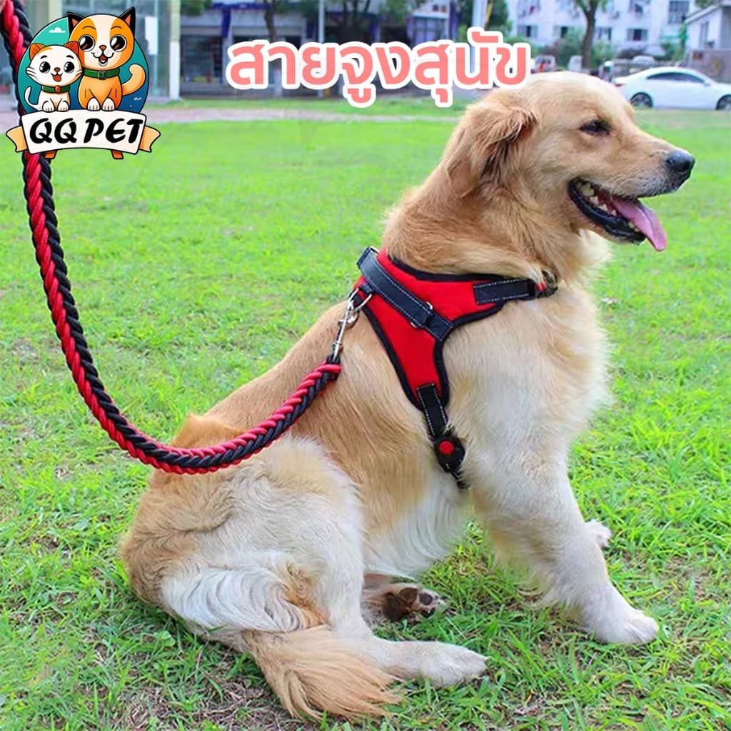 QQPET สายจูงสุนัข เสื้อรัดอกสุนัข เสื้อรัดอกสัตว์เลี้ยง สายจูงสุนัข พันธุ์กลาง-ใหญ่  หลายสี หลายไซส์ สายจูงหมา มีแถบสะท้