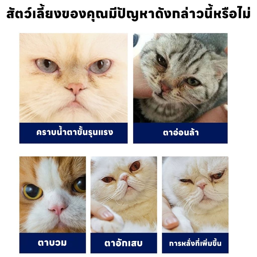 yoyopet : ผ้าเช็ดทำความสะอาดตา หู สัตว์เลี้ยง แบบอ่อนโยน แผ่นเช็ดคราบ สำหรับแมวและสุนัข บรรจุ130ชิ้น - 5