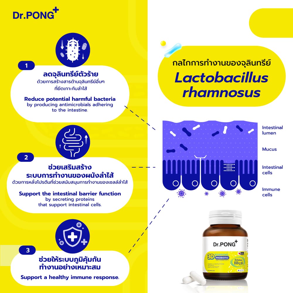 Dr.PONG 3D EVERYDAY PROBIOTIC ปรับสมดุลลำไส้ บำรุงผิว เสริมระบบภูมิคุ้มกัน - 5