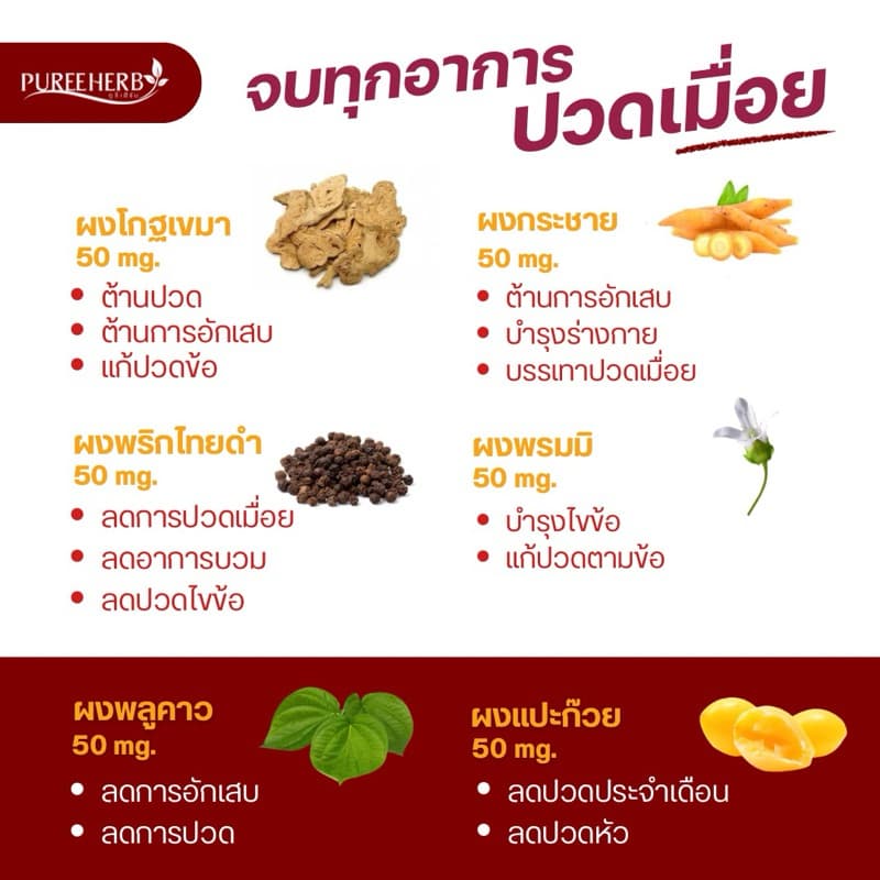 โกฐเขมาพลัสแคปซูล ตราภูรีเฮิร์บ (ร้านเจ้าของแบรนด์) - 1