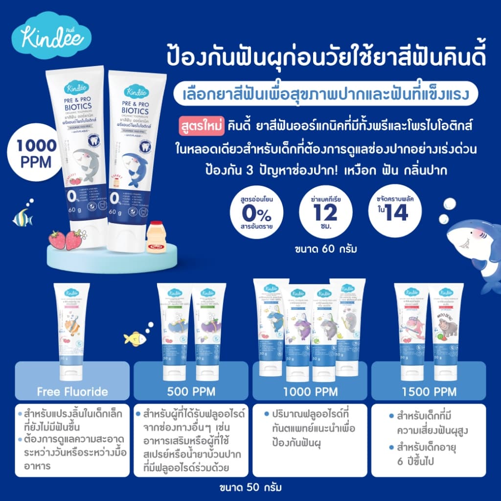 Kindee คินดี้ แปรงสีฟัน ยาสีฟันออร์แกนิค สูตรพรีแอนด์โพรไบโอติกส์ มีฟลูออไรด์ (60 กรัม) - 3