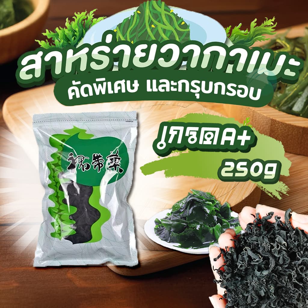 สาหร่าย วากาเมะ A+ เกรดส่งออก สาหร่ายวากาเมะอบแห้ง สาหร่ายวากาเมะ ขนาด 250g 裙带菜