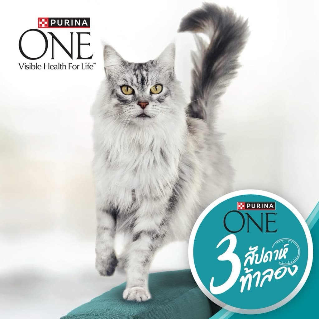 [ถูกสุด] Purina ONE เพียวริน่า วัน อาหารแมว ขนาด 1.2 kg - 1