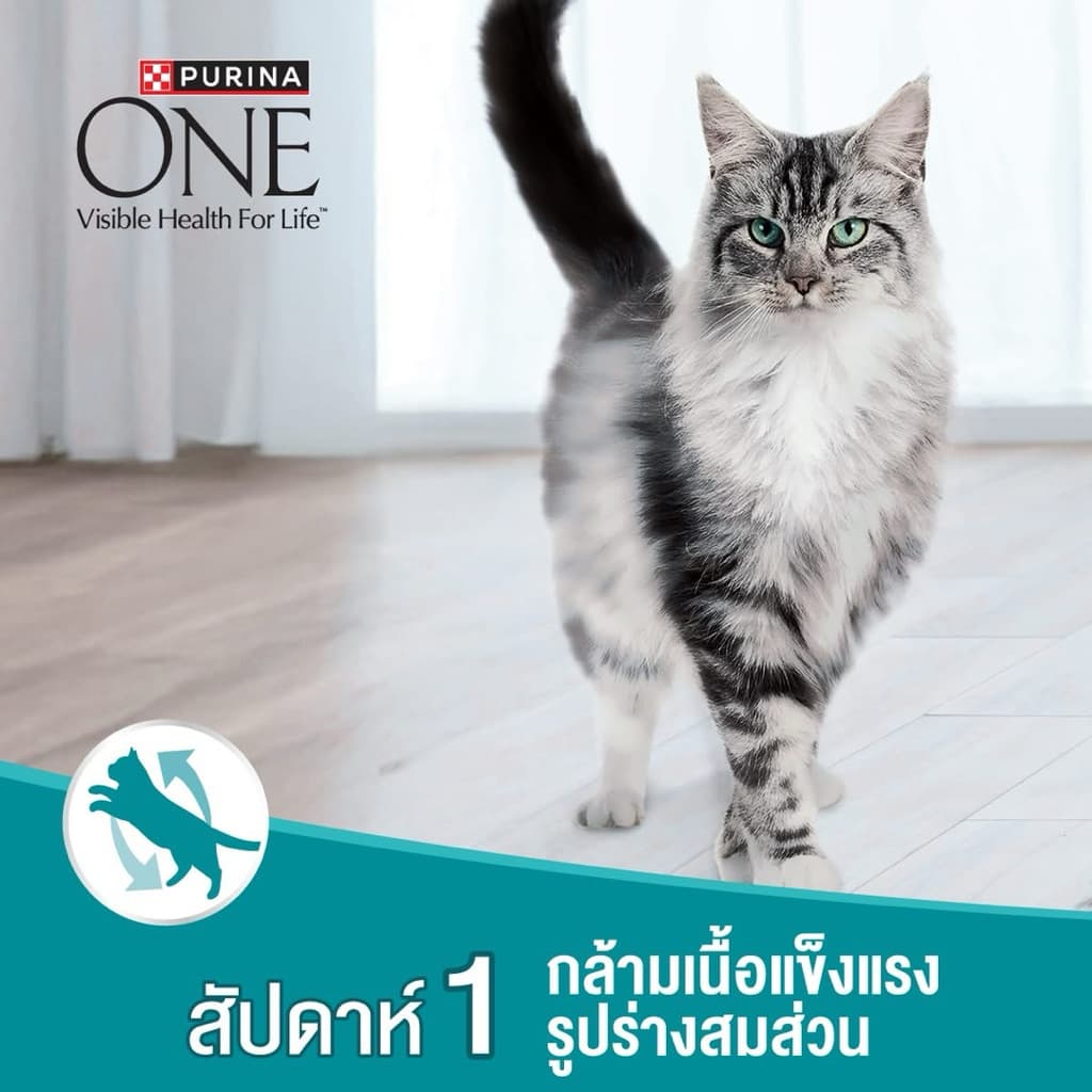 [ถูกสุด] Purina ONE เพียวริน่า วัน อาหารแมว ขนาด 1.2 kg - 2