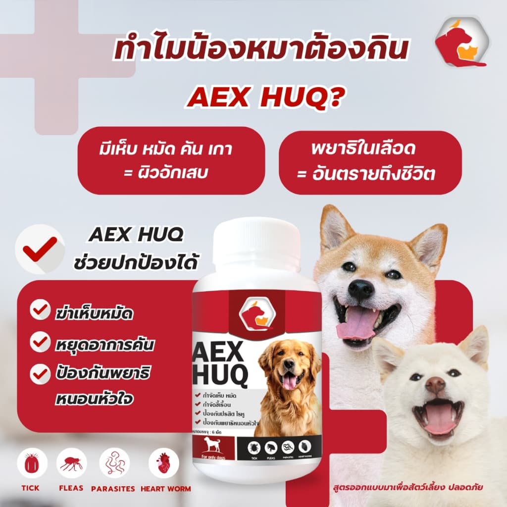 Aexhuq อาหารเสริมสัตว์เลี้ยง ป้องกันเห็บ หมัด ไร บำรุงขนและผิวสำหรับน้องหมา - 1
