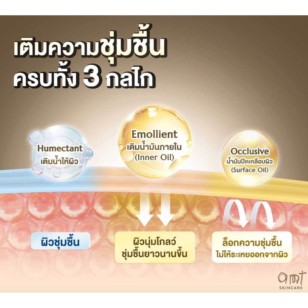 AMT Emulsion 120 mL- มอยเจอร์ไรเซอร์เติมความชุ่มชื้น ผิวโกลว์ นุ่ม เฟิร์ม (เลือกสูตร) - 1