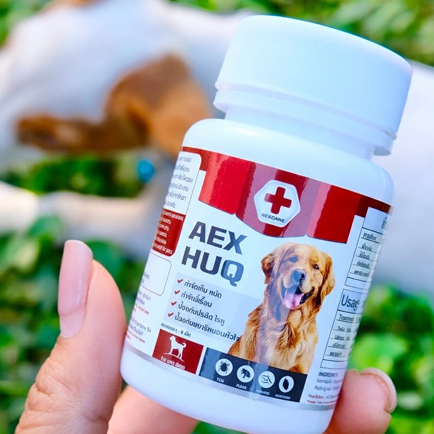 Aexhuq อาหารเสริมสัตว์เลี้ยง ป้องกันเห็บ หมัด ไร บำรุงขนและผิวสำหรับน้องหมา - 3