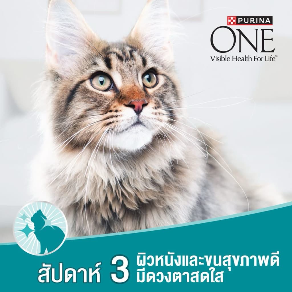 [ถูกสุด] Purina ONE เพียวริน่า วัน อาหารแมว ขนาด 1.2 kg - 4