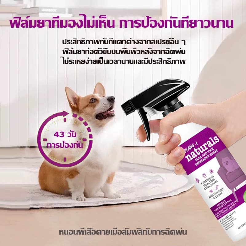 กำจัดเห็บและหมัด 500ml กำจัดหมัดหมา กำจัดหมัดแมว กำจัดเห็บหมัด สูตรพืช ปลอดภัย ไม่ทำร้ายสัตว์เลี้ย - 3