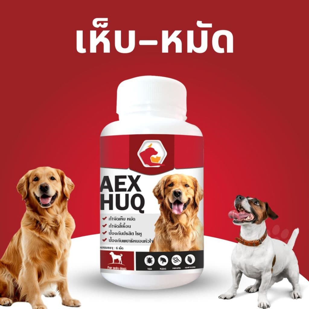 Aexhuq อาหารเสริมสัตว์เลี้ยง ป้องกันเห็บ หมัด ไร บำรุงขนและผิวสำหรับน้องหมา
