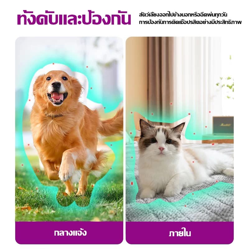 กำจัดเห็บและหมัด 500ml กำจัดหมัดหมา กำจัดหมัดแมว กำจัดเห็บหมัด สูตรพืช ปลอดภัย ไม่ทำร้ายสัตว์เลี้ย - 5
