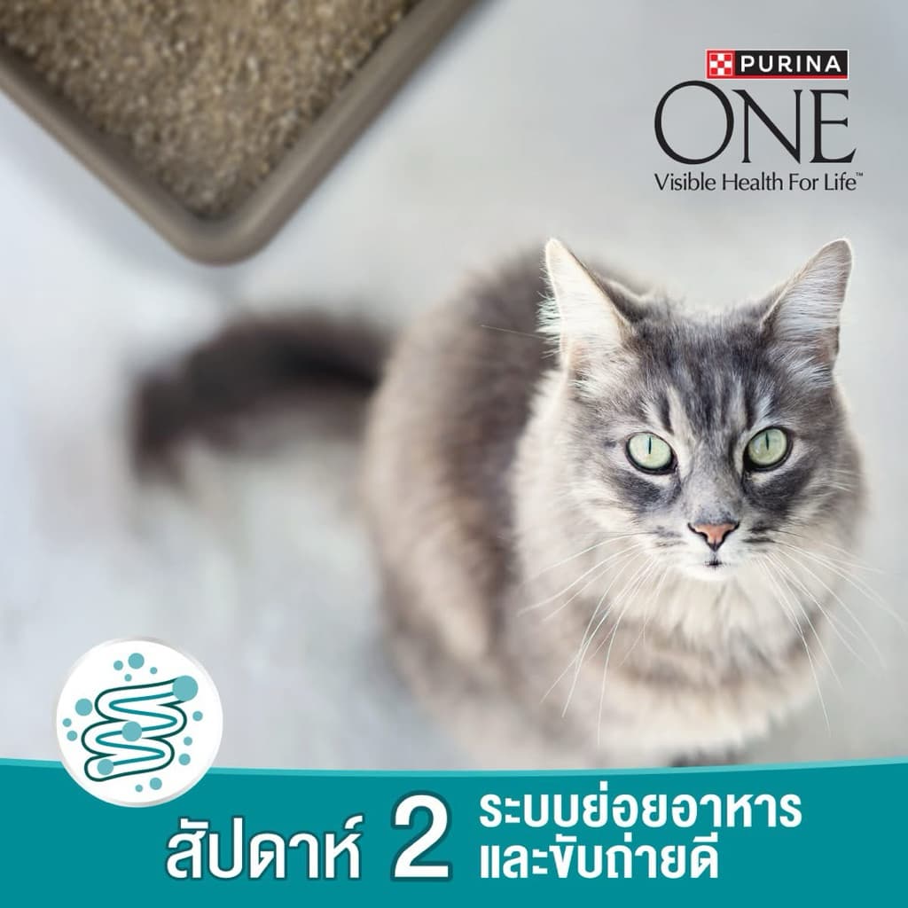 [ถูกสุด] Purina ONE เพียวริน่า วัน อาหารแมว ขนาด 1.2 kg - 3